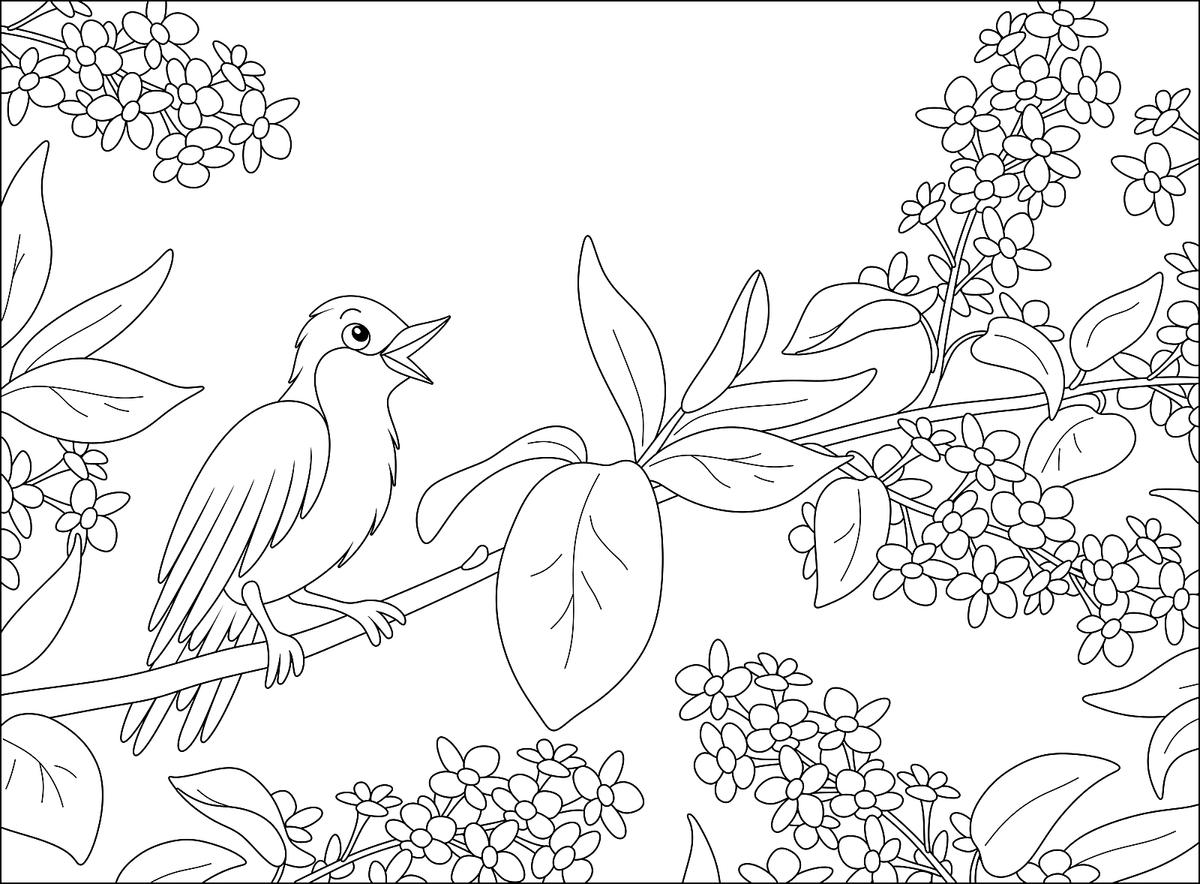 Spring flowers coloring pages free printable coloring pages of flowers for adults kids printables mom