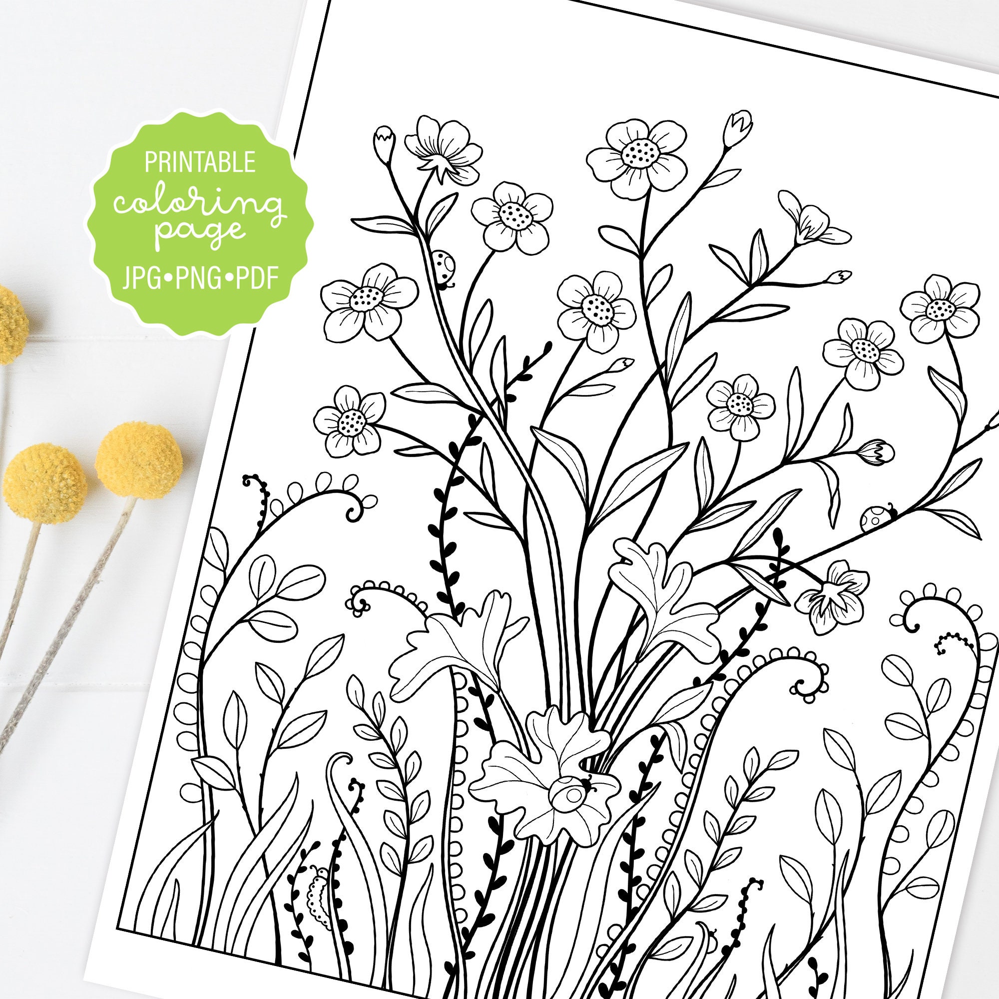 Buttercups wildflower coloring page meadow flower botanical coloring sheet adult coloring printable or digital