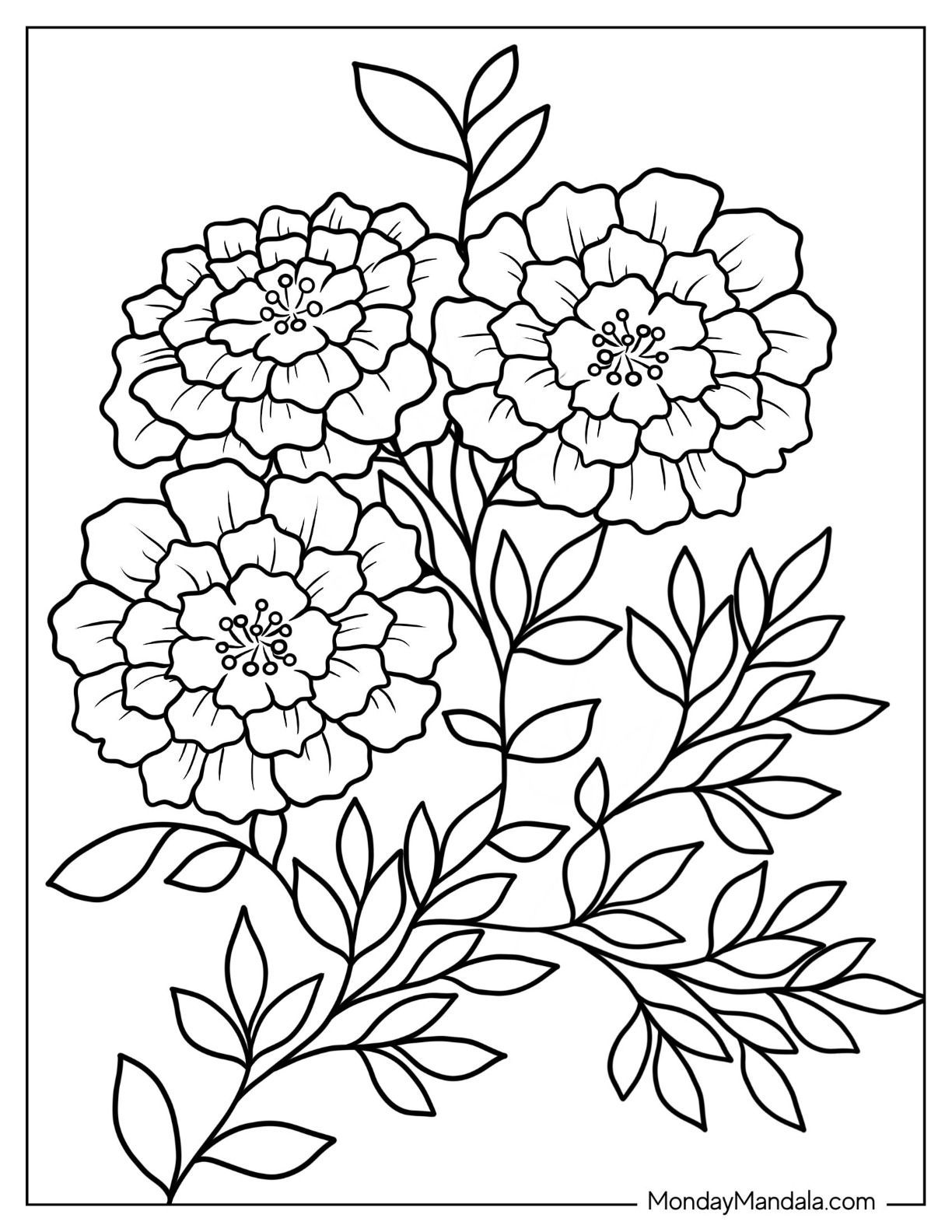 Flower coloring pages free pdf printables