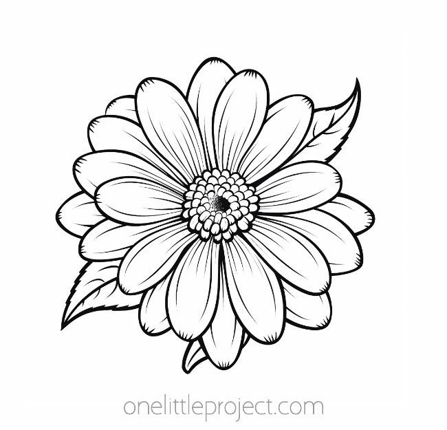 Flower coloring pages free printable flower coloring sheets