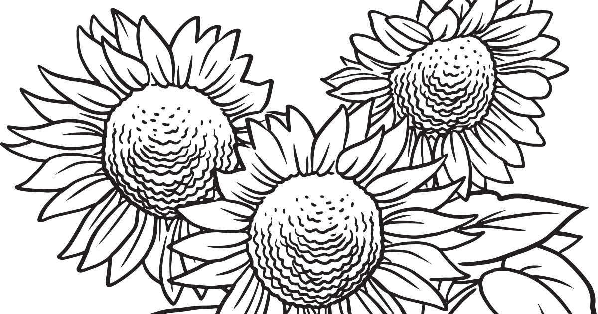 Download our printable wildflower coloring pages