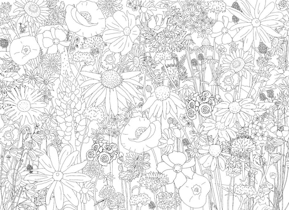 Wildflowers coloring page download now