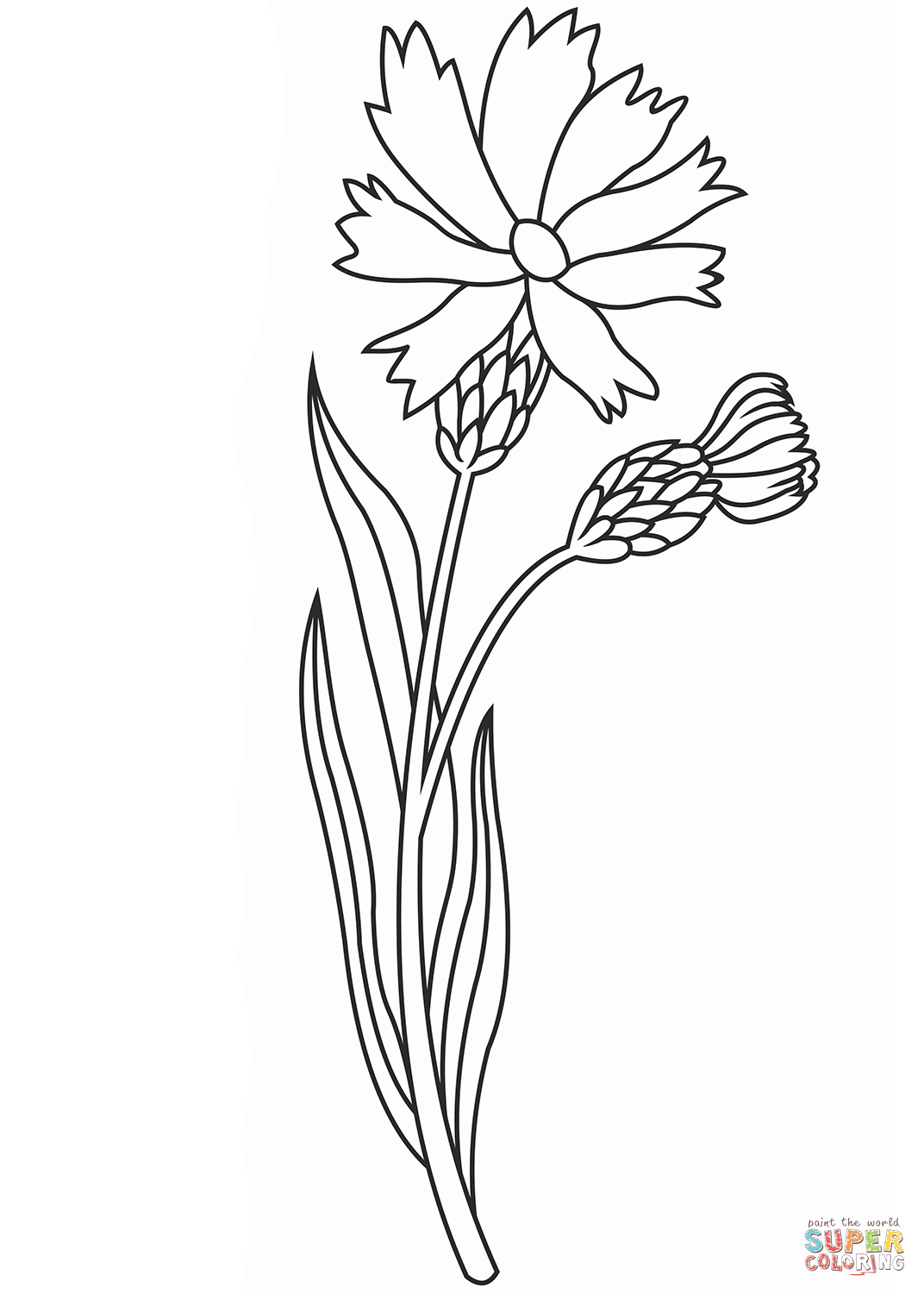 Wildflower coloring page free printable coloring pages