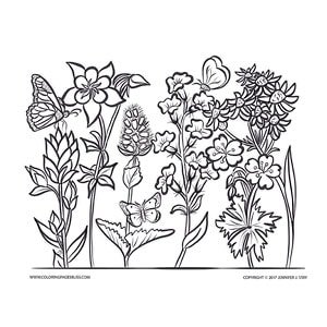 Mountain wildflowers coloring page