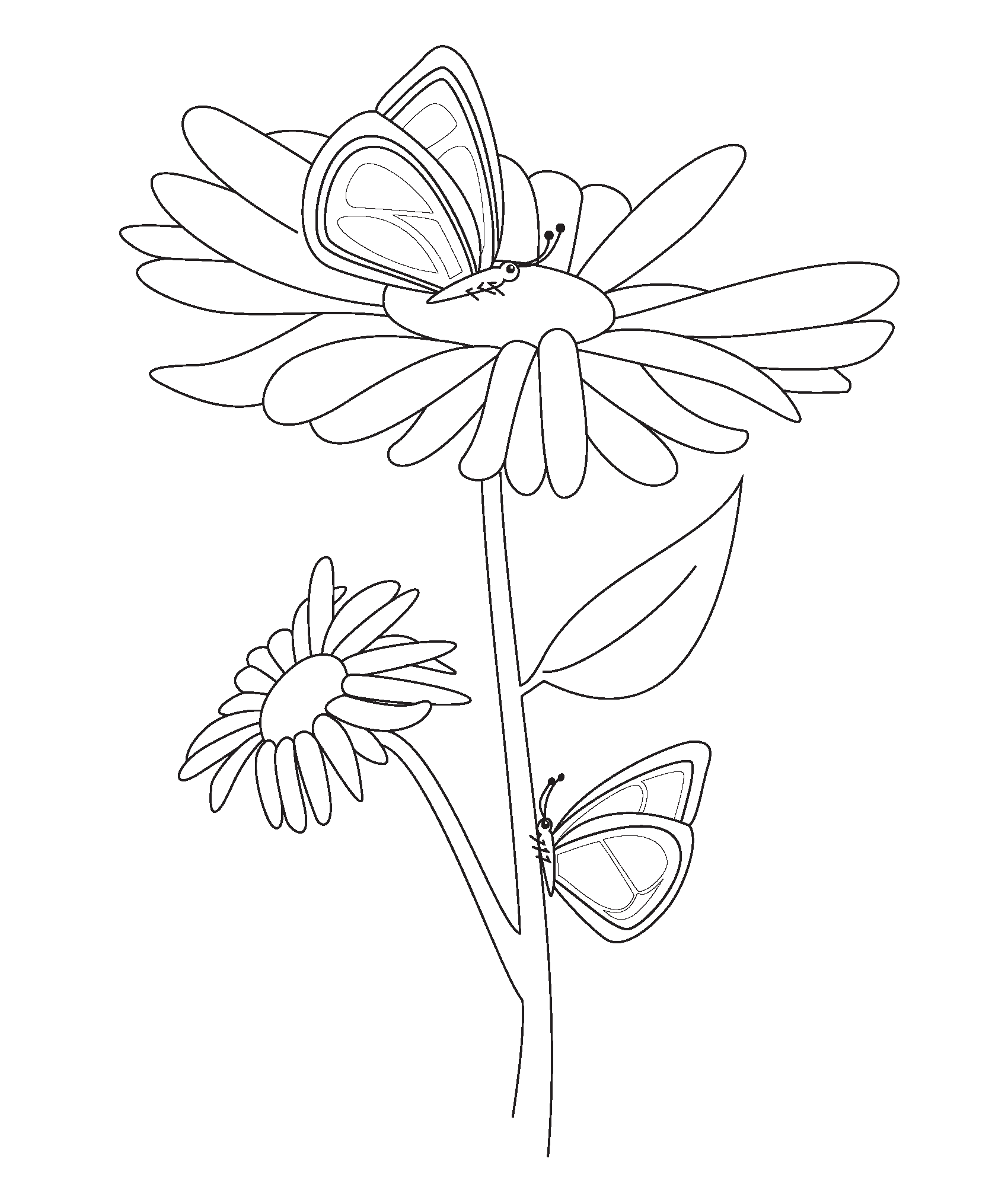 Free printable coloring pages