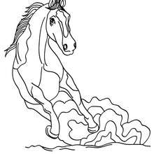 Wild horse coloring pages