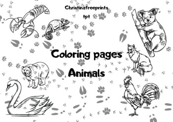 Freebie wild animals coloring pages by christinafreeprints tpt