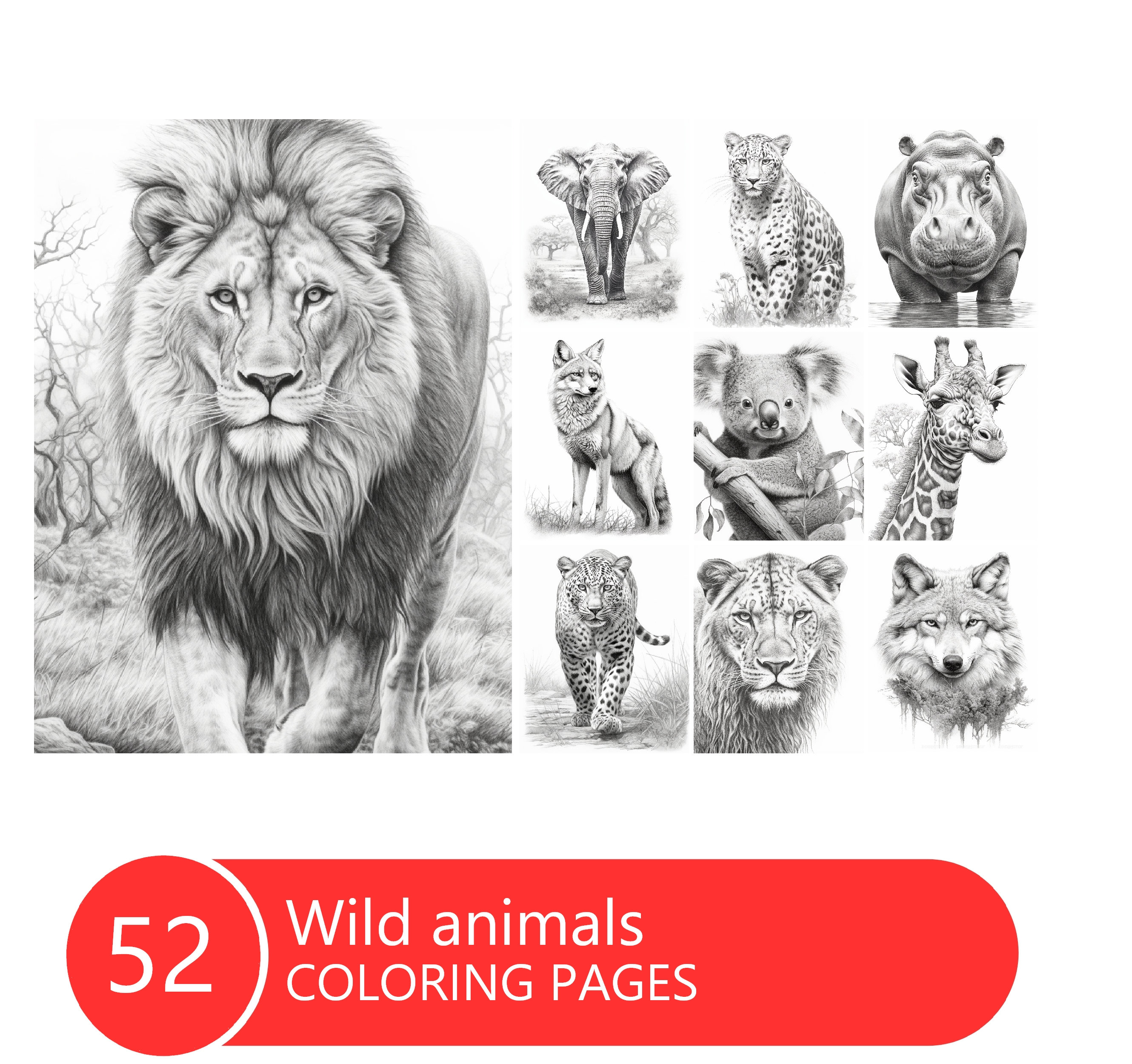 Wild animals coloring book for adults and kids grayscale coloring pages instant download printable pdf file