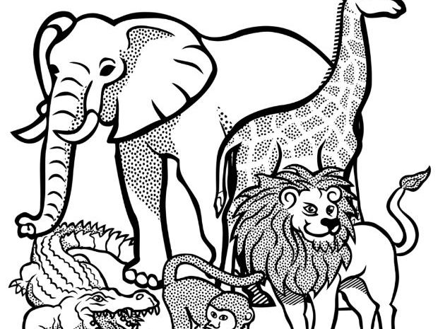 Wild animals coloring sheets teaching resources