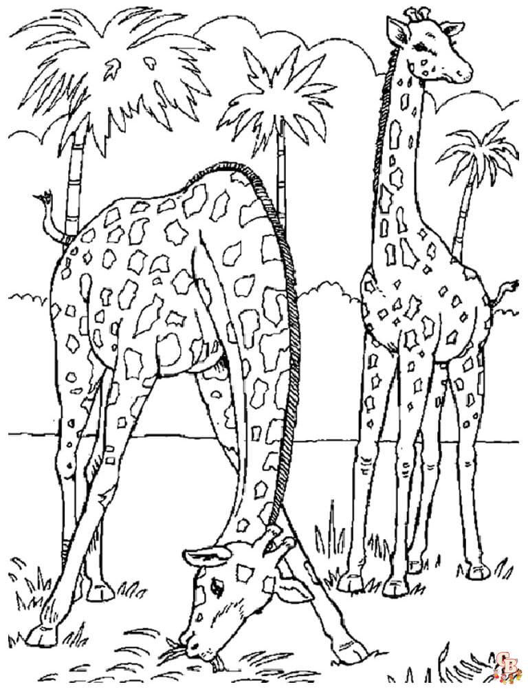 Printable wildlife coloring pages free for kids and adults