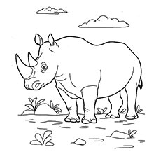 Top free printable wild animals coloring pages online