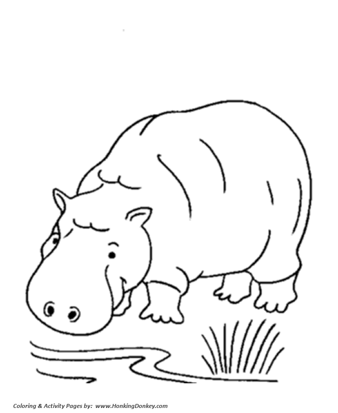 Wild animal coloring pages hippopotamus coloring page and kids activity sheet