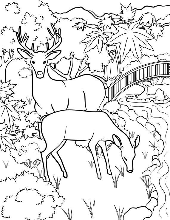 The wildlife scenery coloring book download printable coloring pages