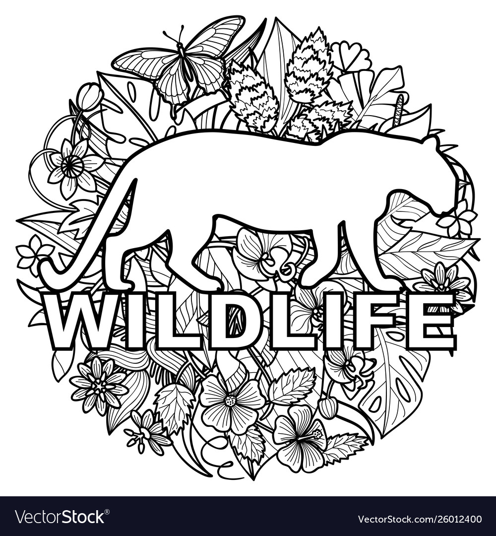 Wildlife coloring page with leopard and tropical vector image