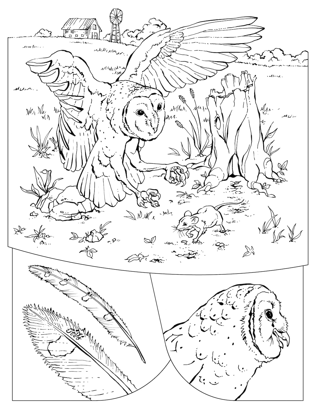 Coloring book animals a to i