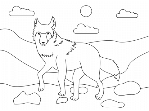 Coyote coloring page free printable coloring pages