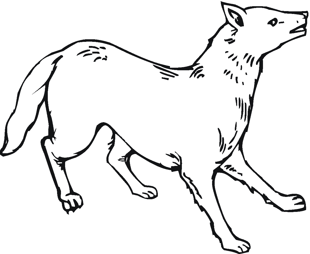 Free printable coyote coloring pages for kids