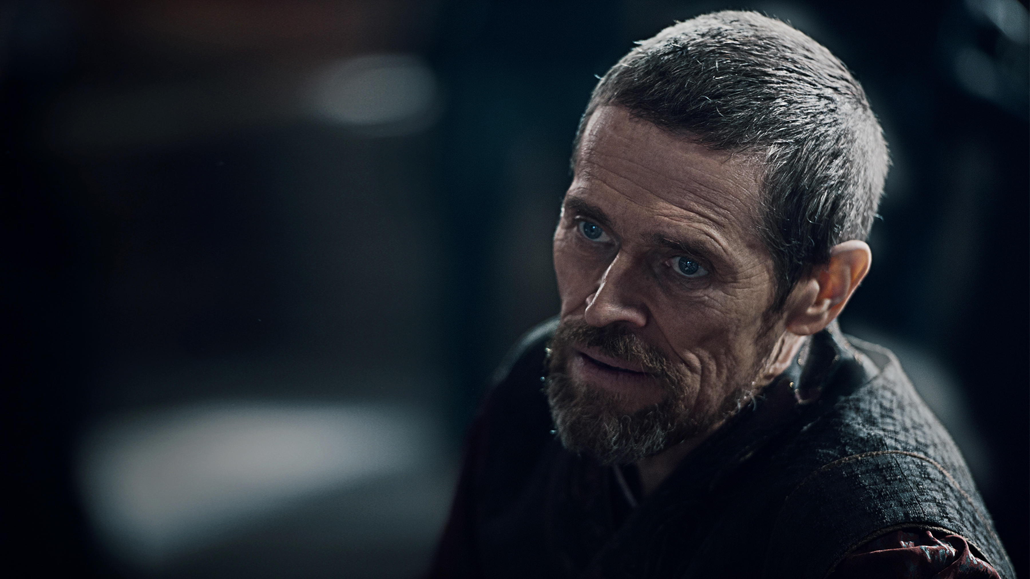 Willem dafoe hd papers and backgrounds