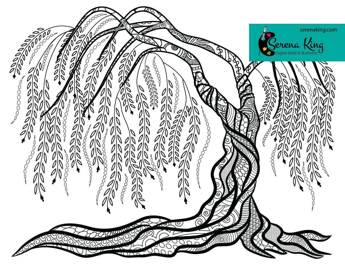 Weeping willow tree coloring page tree coloring page adult coloring pages weeping willow tree