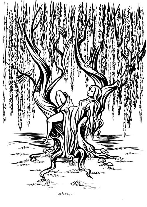 Pin by ðððñð on willow willow tree tattoos tree coloring page tree drawing