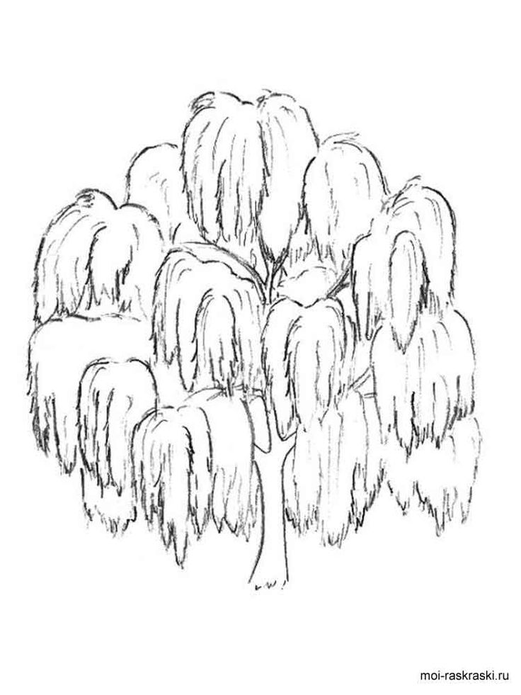 Willow tree coloring pages for kids free printable willow tree coloring pages tree coloring page coloring pages willow tree