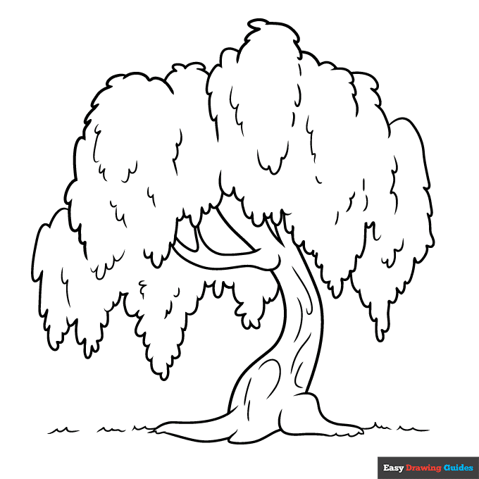 Willow tree coloring page easy drawing guides