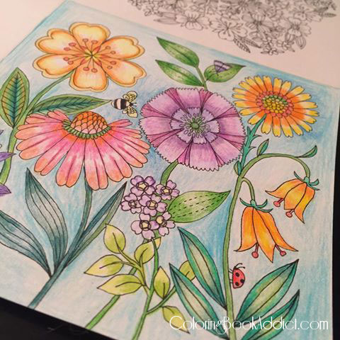 Flower and garden coloring books for adults