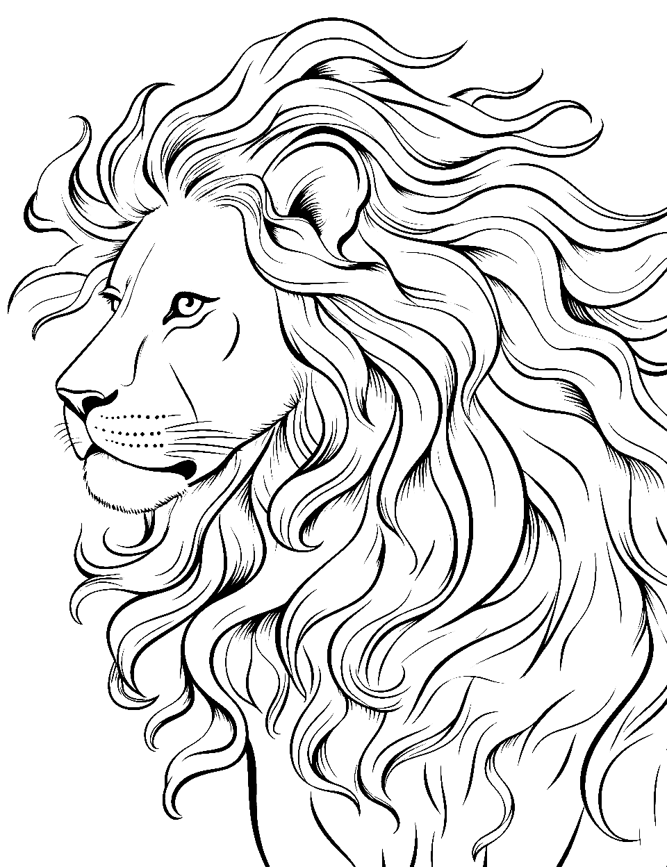 Lion coloring pages free printable sheets