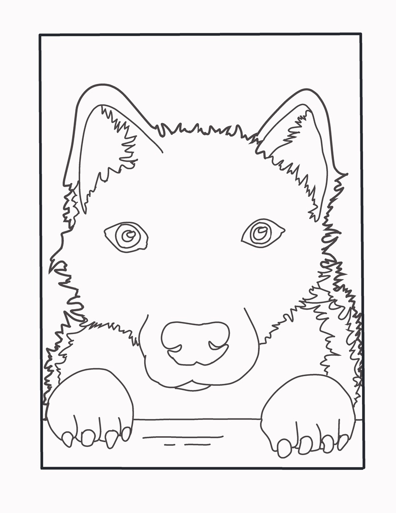 The wolf at your window coloring page