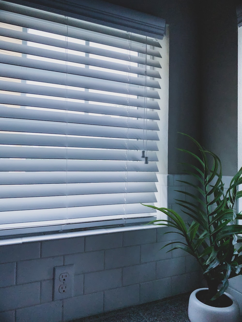 Window shades pictures download free images on