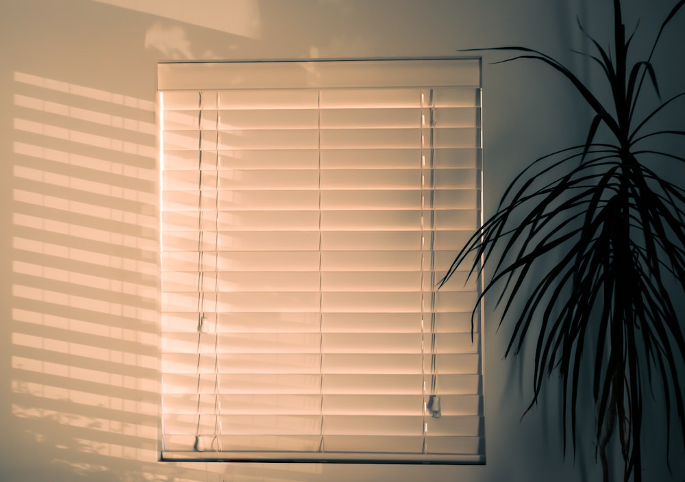 Window shade pictures download free images on