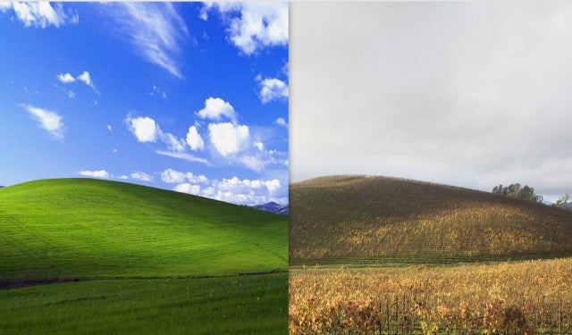 The original windows bliss hill in sonoma county has turned into a really brown vista rpics