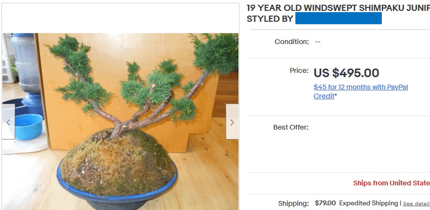 Can we talk about how predatory some of the sellers on ebay are rbonsai