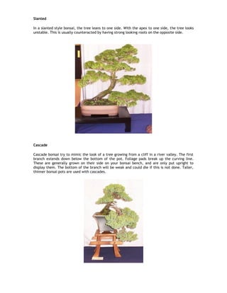 Bonsai style pdf