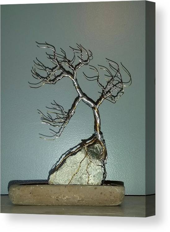 Windswept bonsai tree root over rock canvas print canvas art by ricks tree art