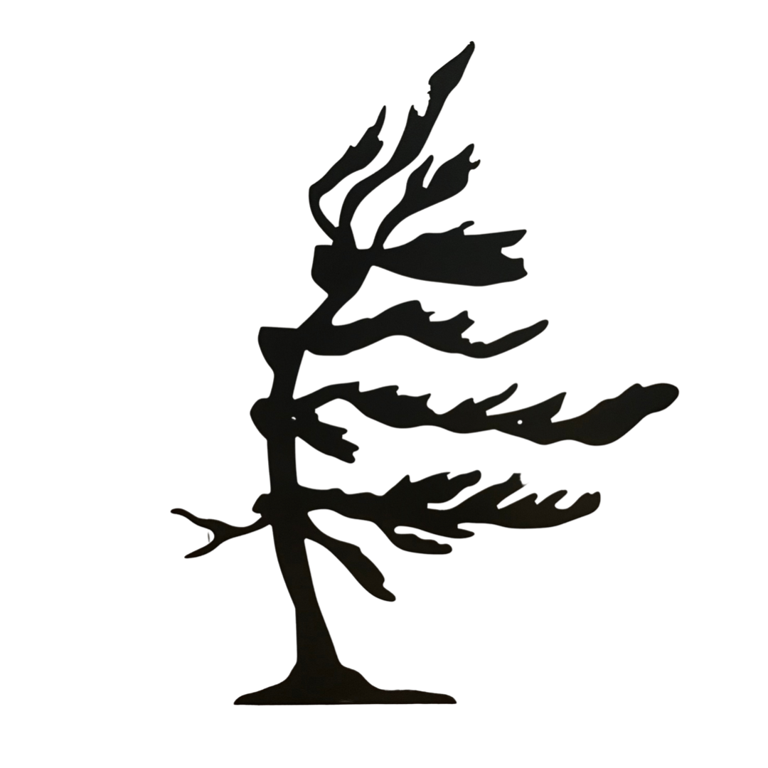 Windswept pine