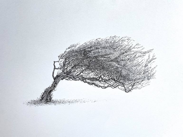 Windswept tree in ink firmly rooted through the a storm msillo tree artist original ink drawing drawing by msillo tree artist saatchi art