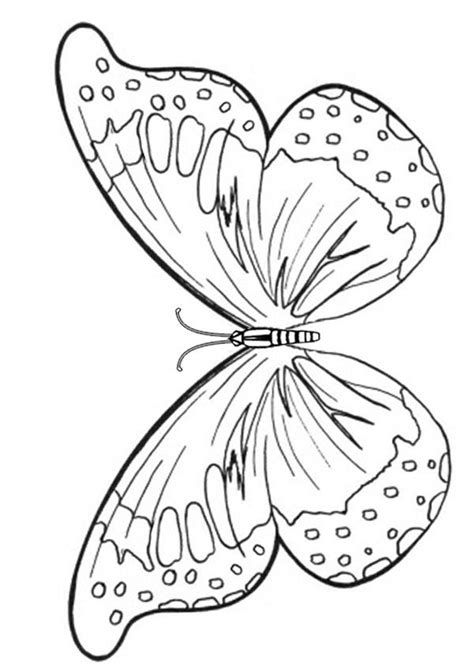 Butterflies coloring page