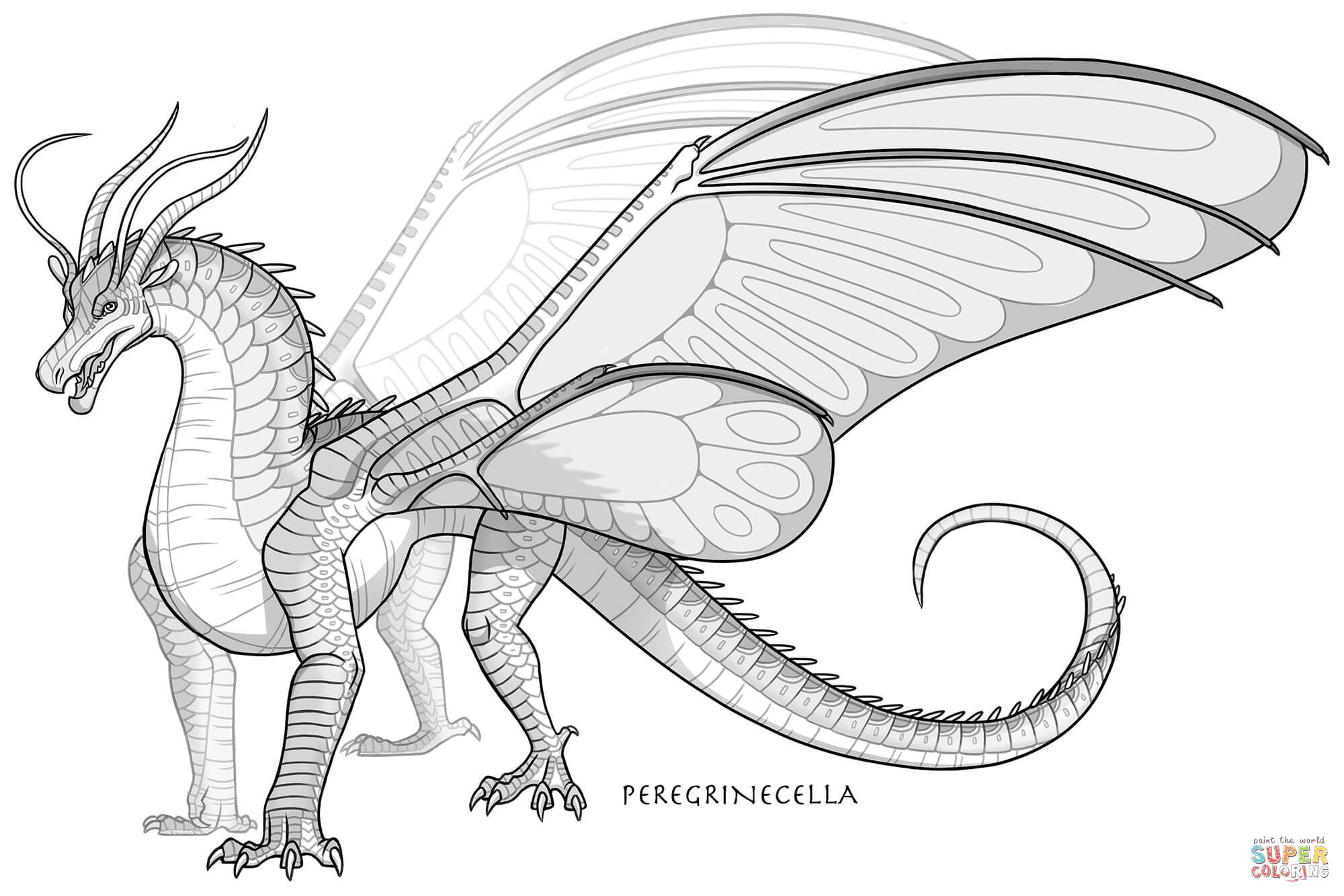 Silkwing dragon coloring page free printable coloring pages