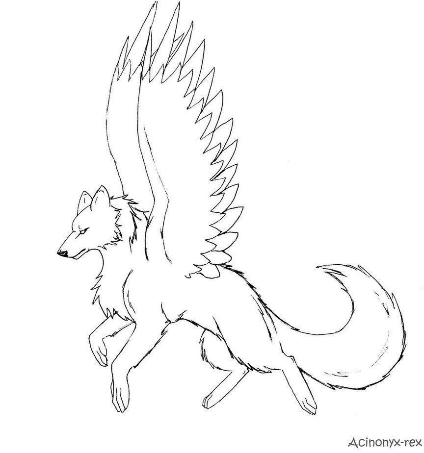 Pics of dragon winged wolf coloring pages