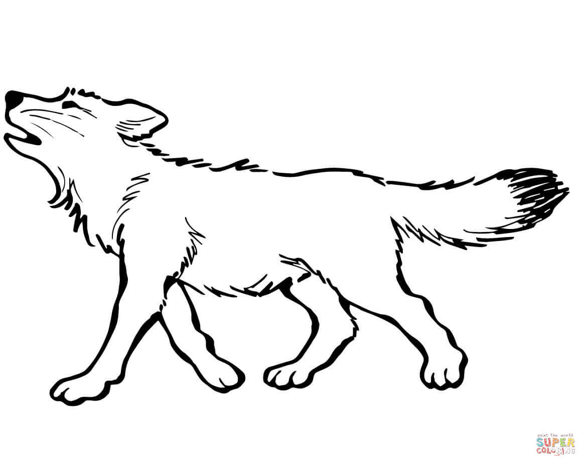 Baby wolf coloring page free printable coloring pages