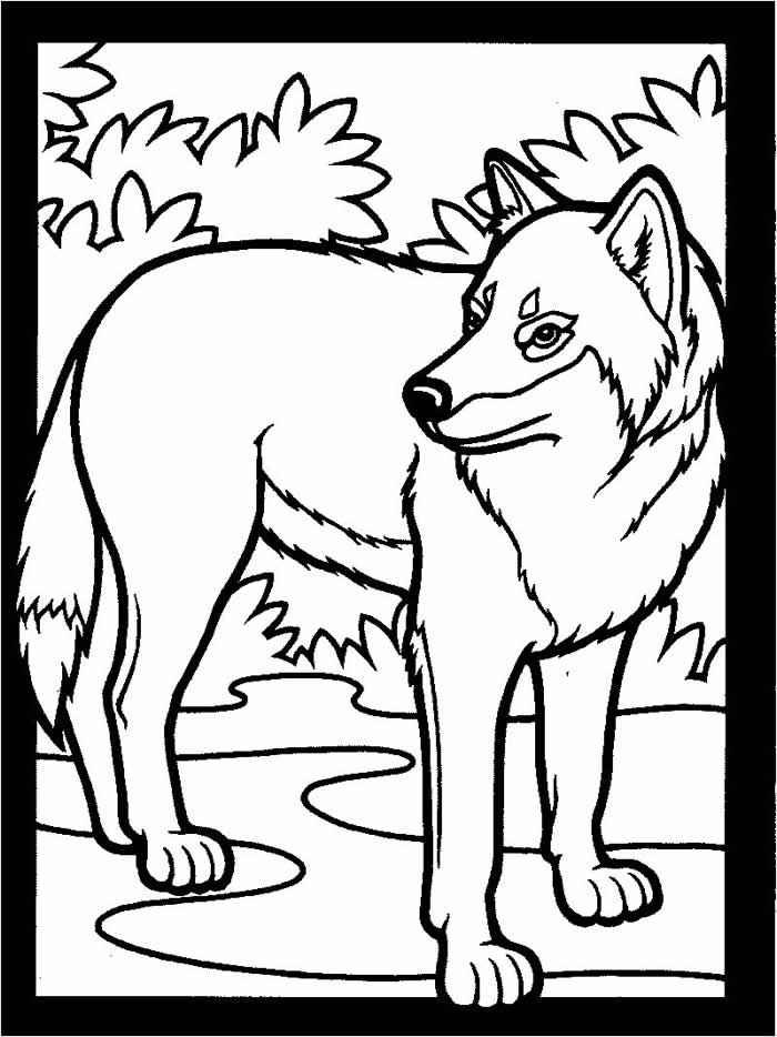 Wolf coloring pages