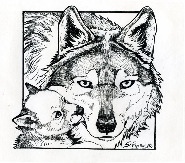 New lobo coloring page â lobos of the southwest