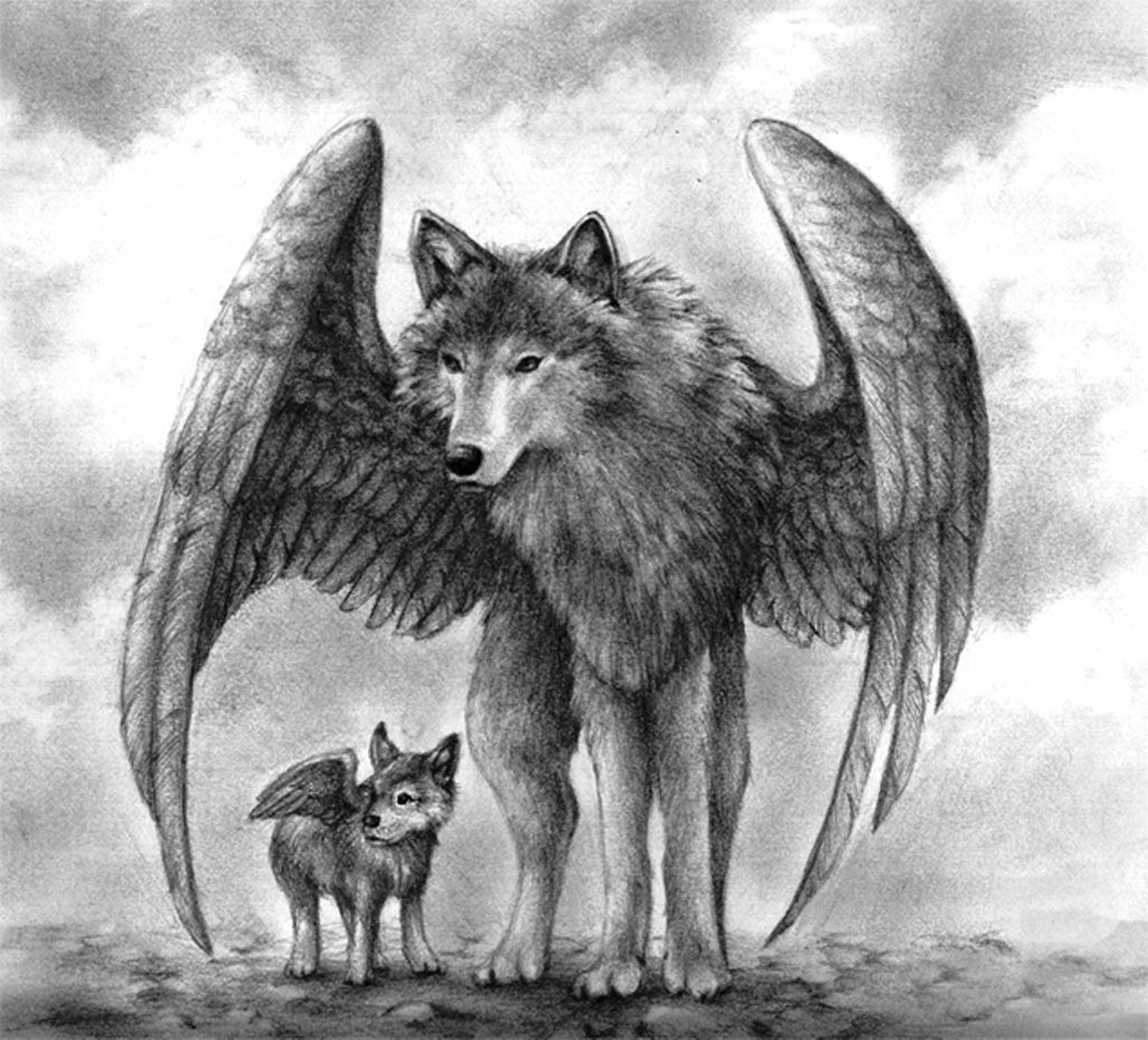 Sky art animals winged wolves fantasy wallpaper x