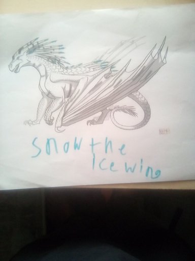 I colored a wings of fire coloring page my oc snow by ezradabluedragon on