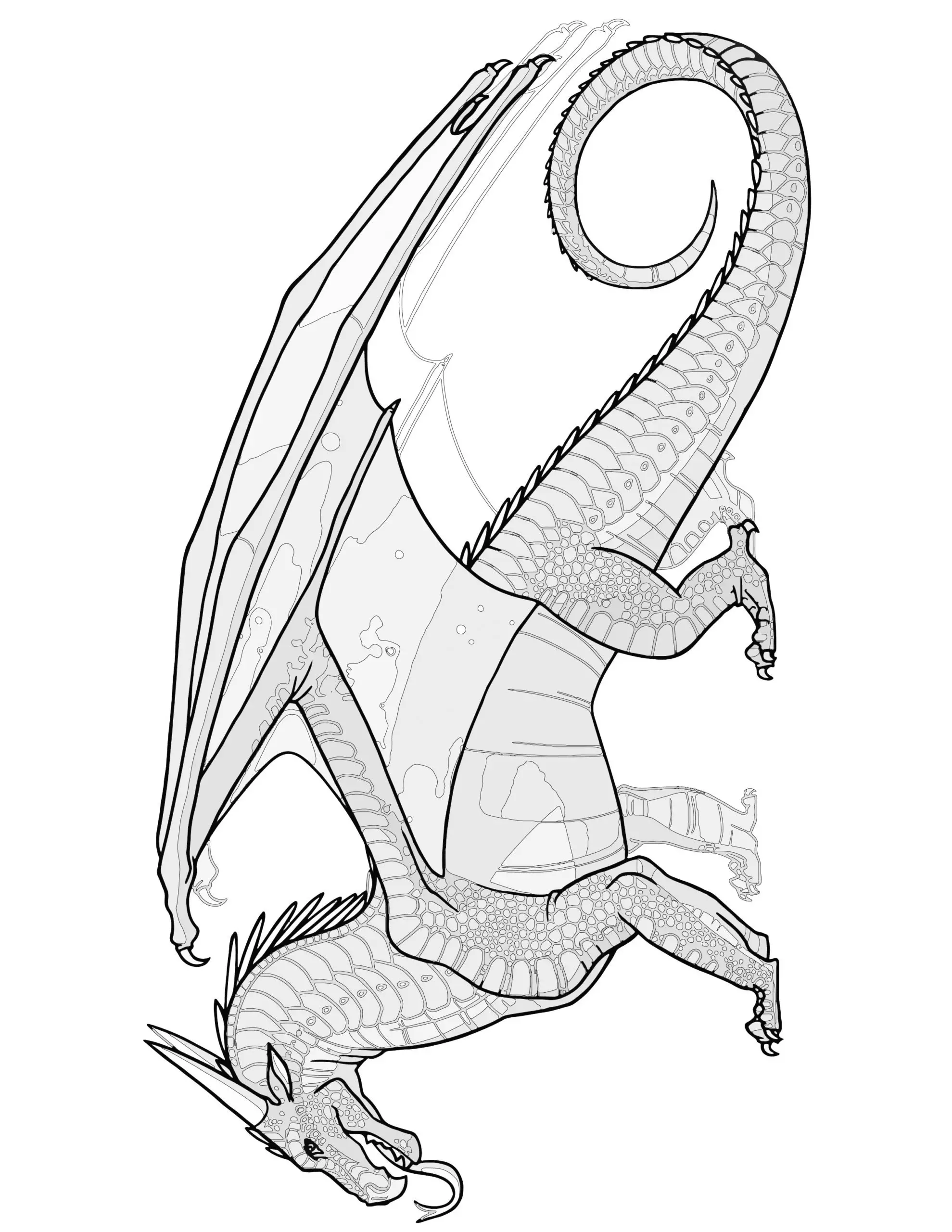 Wings of fire dragon coloring pages for kids free printable