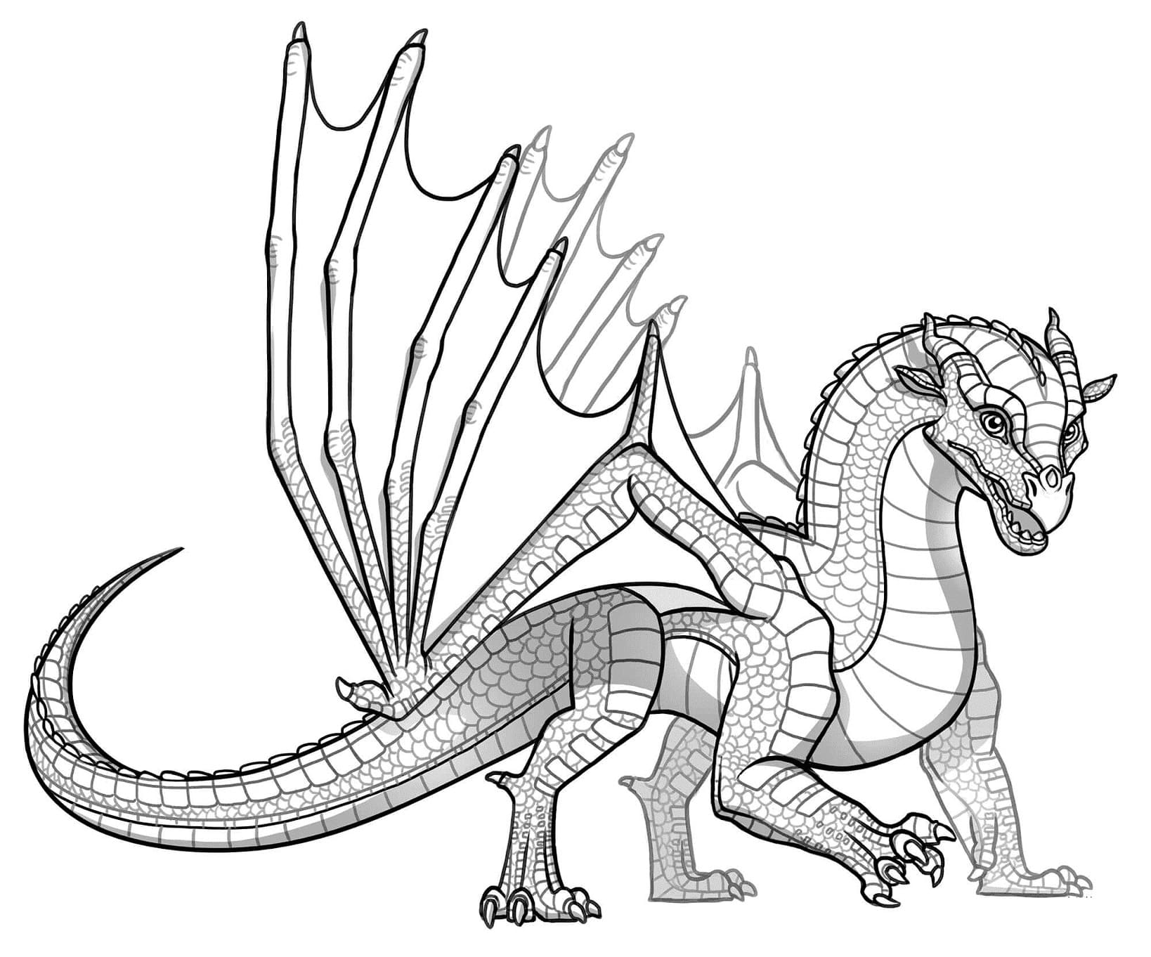 Wings of fire coloring pages