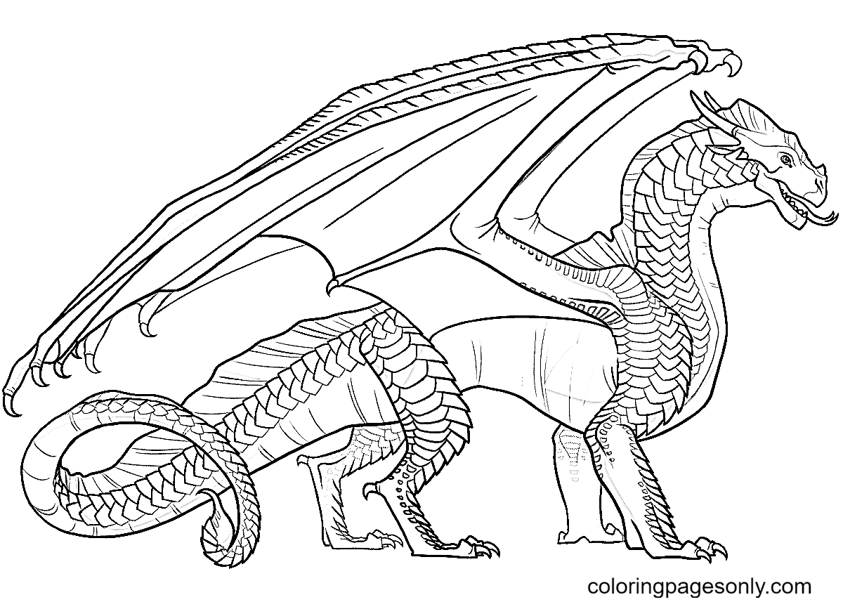 Wings of fire sandwing dragon coloring page