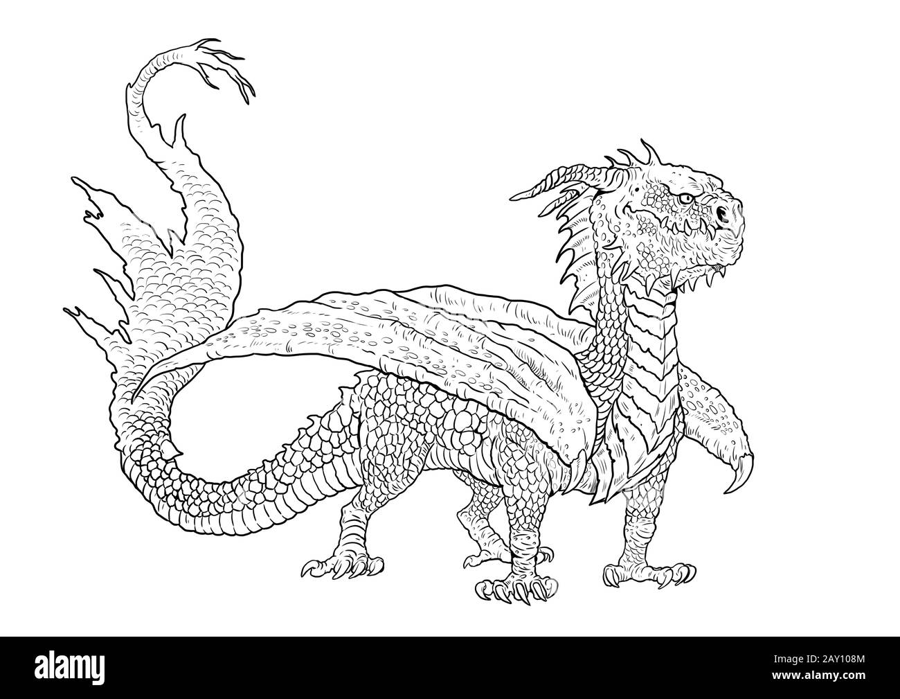 Dragon coloring page outline illustration dragon drawing coloring sheet stock photo