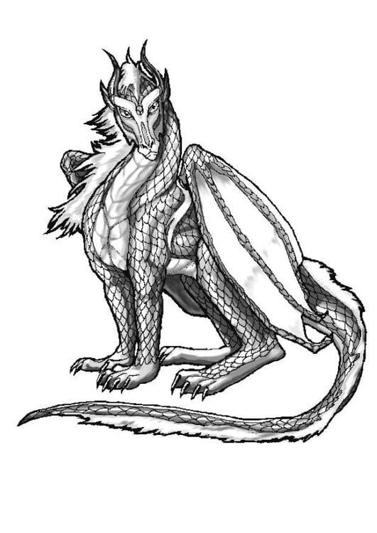 Coloring page dragon